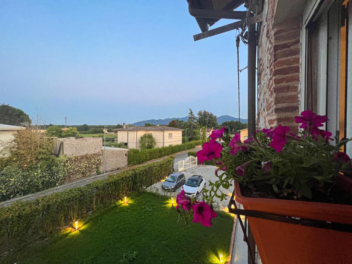New! -Verderame Rooms & Suite In 卢卡 外观 照片